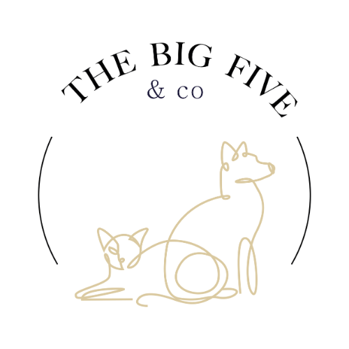 The big five & co protection animale